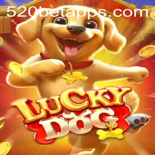 Descubra o Mundo de Sorte e Estratégia com LuckyDog e 520bet